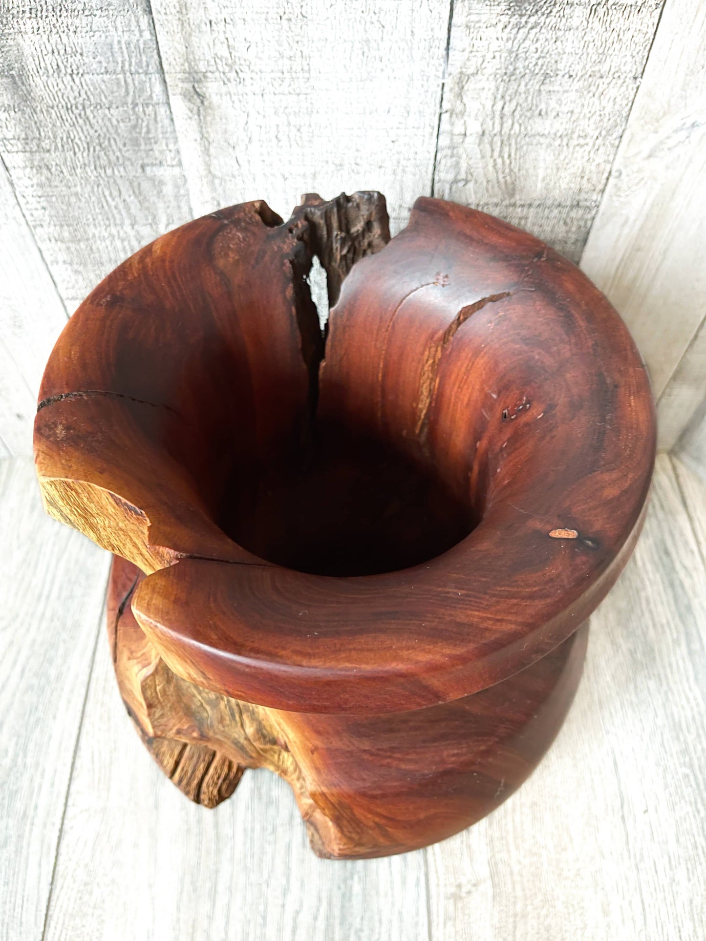 Unique Manzanita wood vases with natural edges. 9" diameter x 10" tall